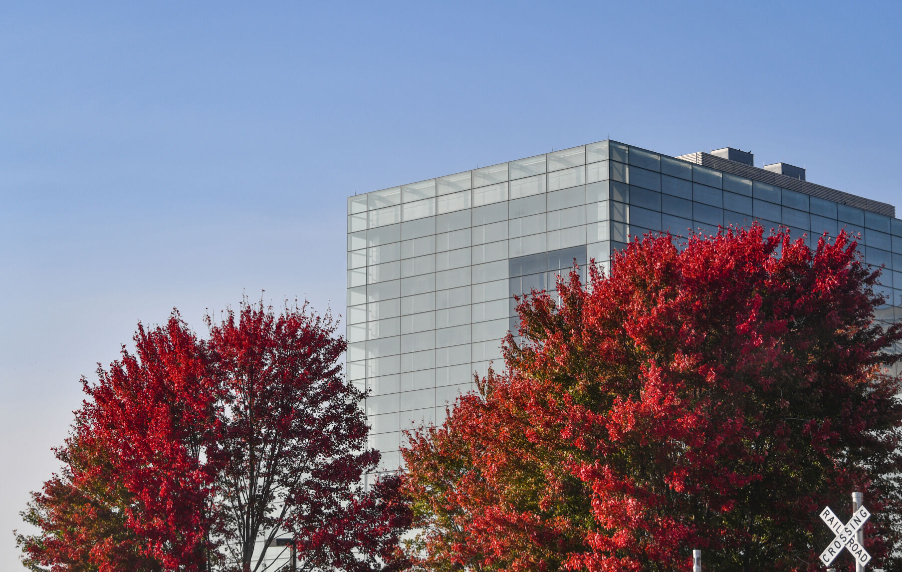 100820-qc-nws-fallcolor-015